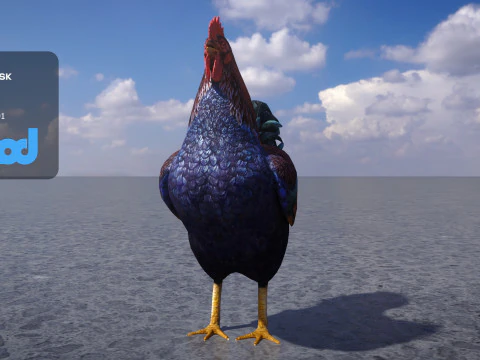 Петух 3D Модель