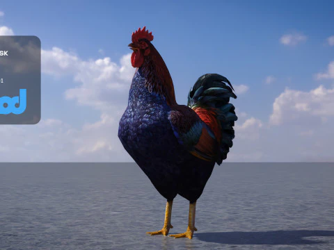 Gallo Modello 3D