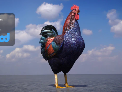 Gallo Modello 3D