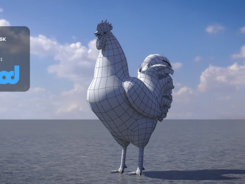 Gallo Modello 3D