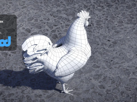 Gallo Modello 3D