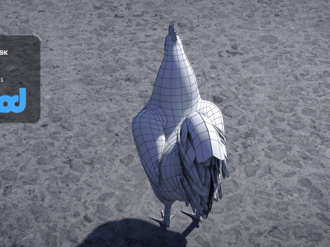 Rooster Modèle 3D
