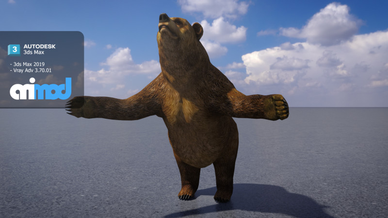 Brown Bear 3D Model .c4d .max .obj .3ds .fbx .stl .blend