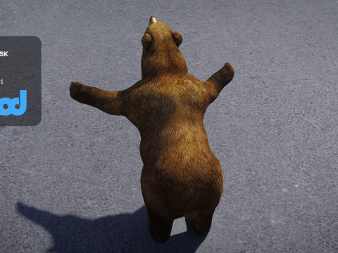 Brown Bear 3D Model