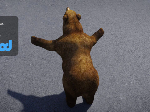 Brown Bear 3D Model