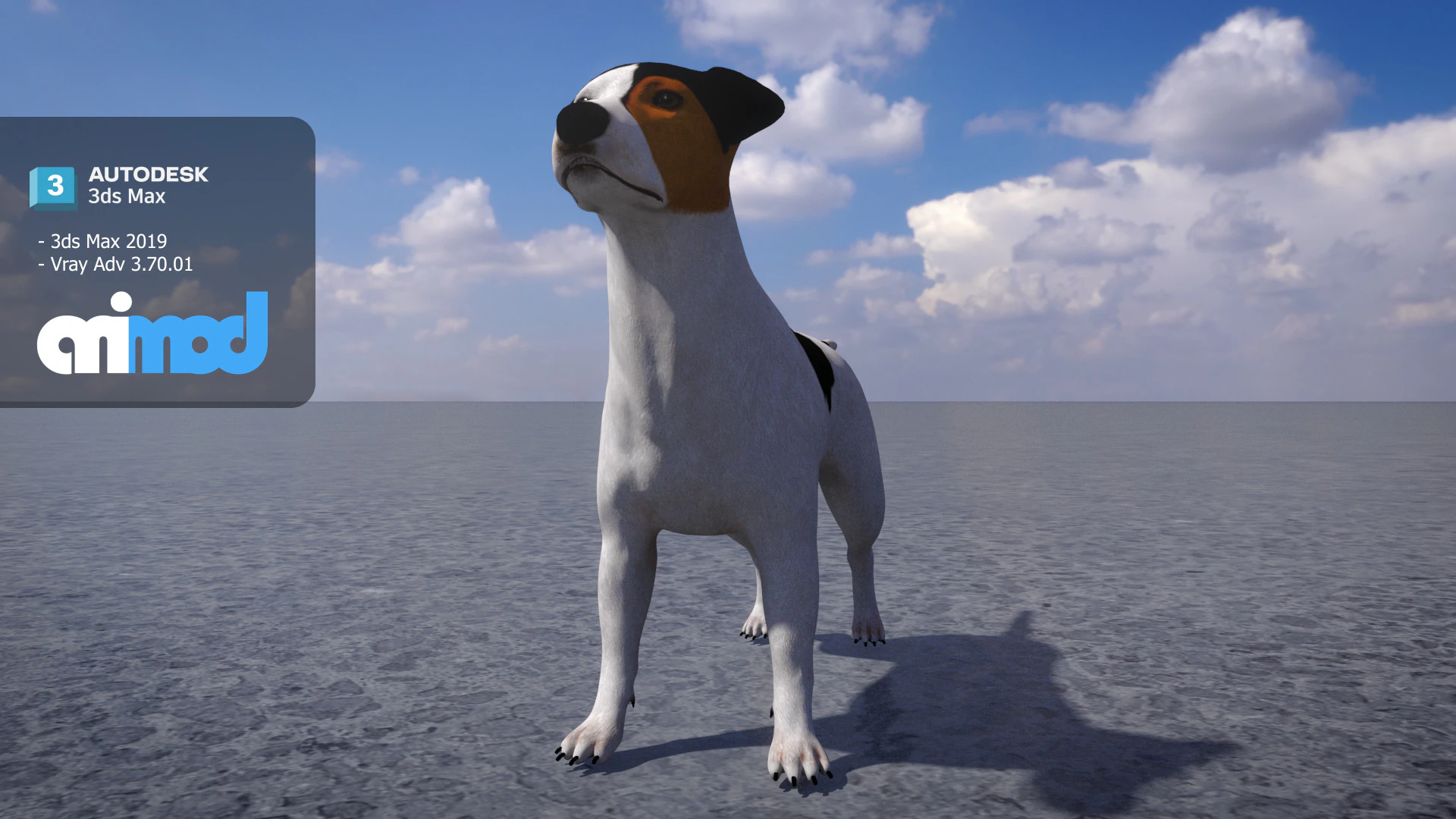 Jack Russell Terrier 3D Model .c4d .max .obj .3ds .fbx .stl .blend 