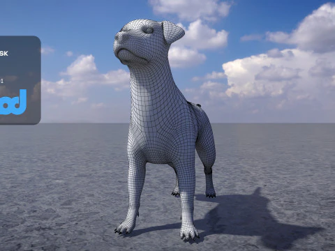 Jack Russell Terrier 3D Model
