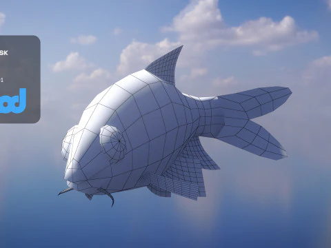 Acrossocheilus Grouper Fish 3D Model