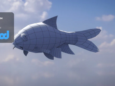 Acrossocheilus Grouper Fish 3D Model