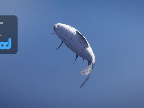 Acrossocheilus Grouper Fish 3D Model