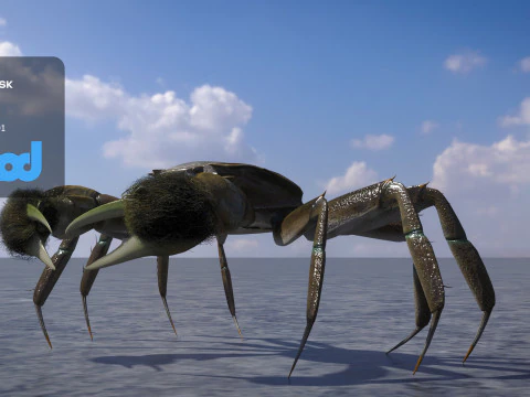 Crab Female Rigged 3D Model