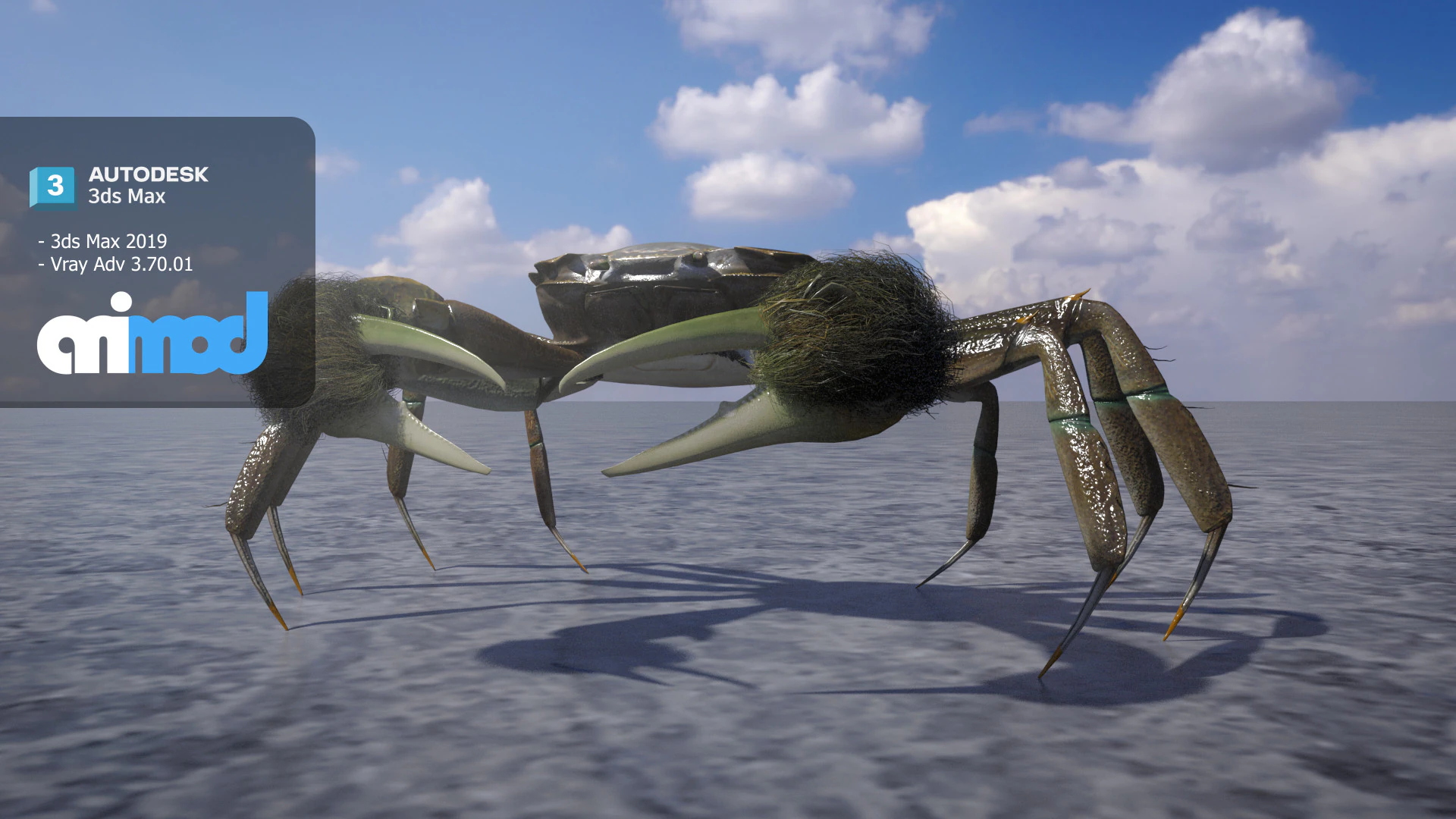 Crab Female Rigged 3D Model .c4d .max .obj .3ds .fbx .stl .blend