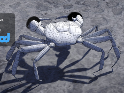 Crab Female Rigged Model 3D