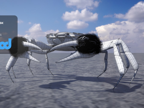 Crab Female Rigged Model 3D