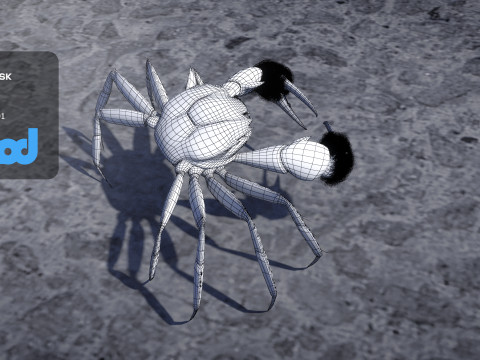 Crab Female Rigged Model 3D