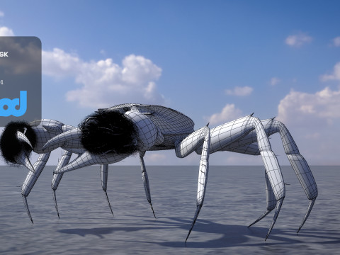 Crab Female Rigged Model 3D