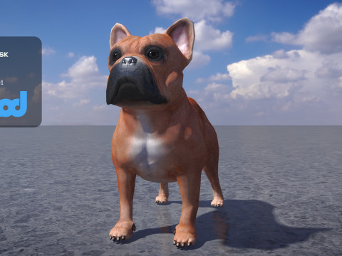 French Bulldog 3Dモデル