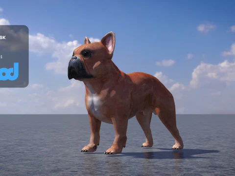 French Bulldog 3D Model