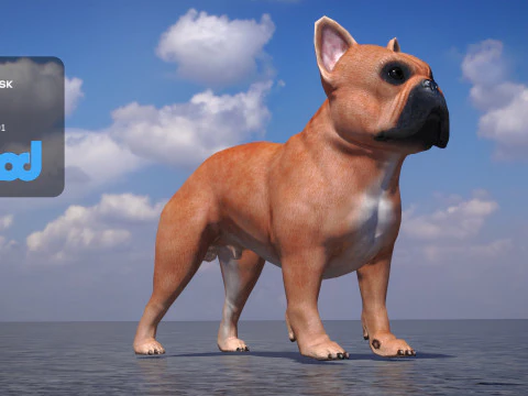 French Bulldog 3D Model