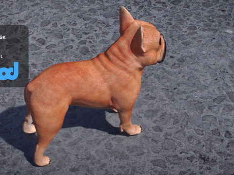 French Bulldog 3D Model