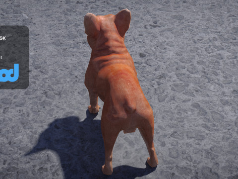 French Bulldog Modelo 3D