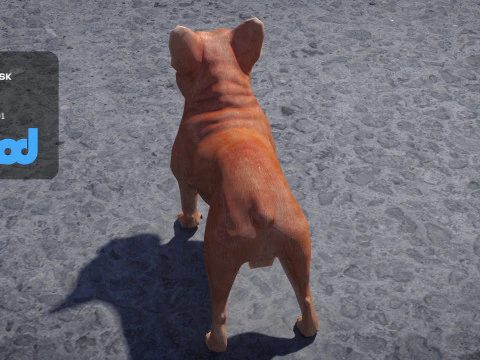 French Bulldog 3D Model