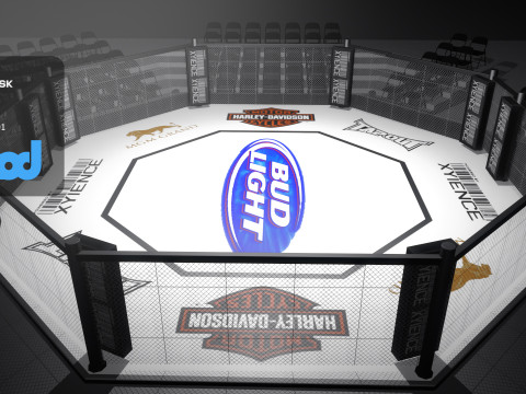 Boxing Ring 3D Model