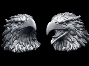 Eagle Head 3D Print Model
