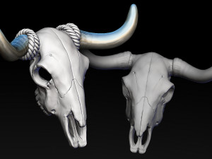 Bull Skull with Separate Horns 3D Print Model