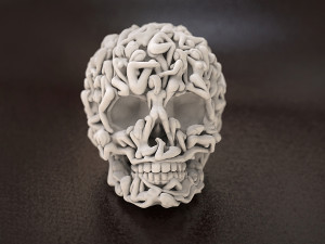 Skull Head Women Bodies 3D Print Model