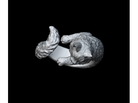 High Detailed Cat Ring 3D Print Model