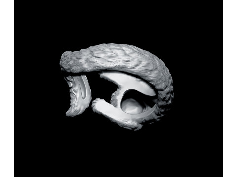 High Detailed Cat Ring 3D Print Model