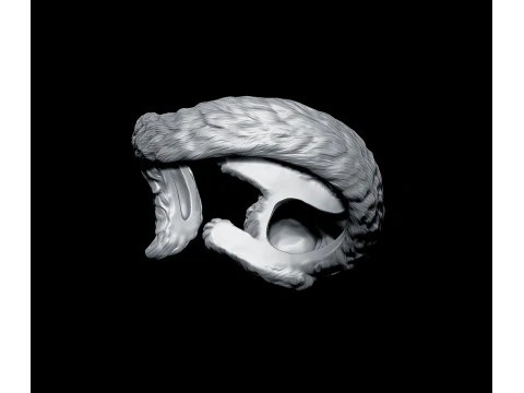 High Detailed Cat Ring 3D Print Model