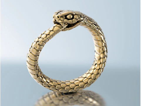 Кільчаста змія Уроборос 3D Принт Модель