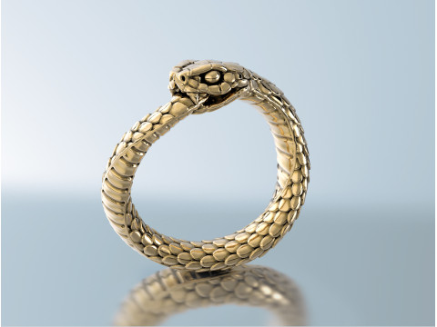 रिंग स्नेक ऑरोबोरोस 3D प्रिंट मॉडल
