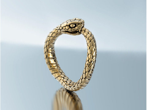 रिंग स्नेक ऑरोबोरोस 3D प्रिंट मॉडल