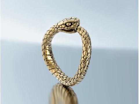 Ring Snake Ouroboros 3D Print Model