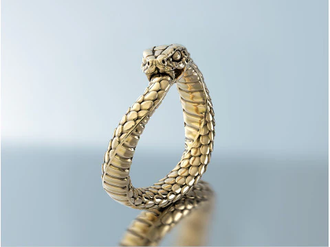 Ring Snake Ouroboros 3D Print Model