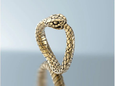 Ring Snake Ouroboros 3D Print Model