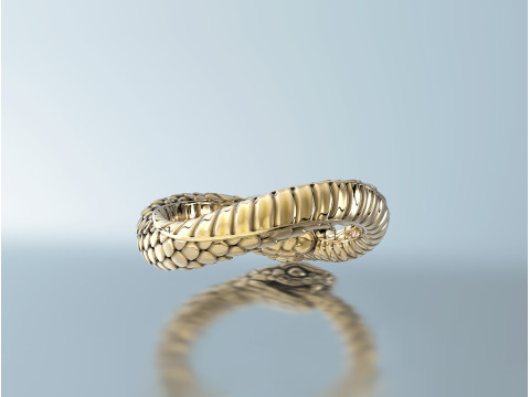 रिंग स्नेक ऑरोबोरोस 3D प्रिंट मॉडल