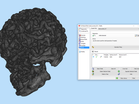Schädel-Kopf-Frauen-Körper 3D Druckmodell