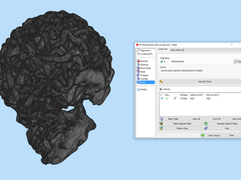 Schädel-Kopf-Frauen-Körper 3D Druckmodell