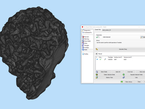 Schädel-Kopf-Frauen-Körper 3D Druckmodell