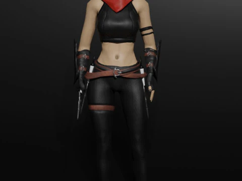 Shadow Dancer Game Character 3D Model