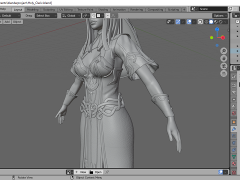 Holy Cleric Female Character Fantasy 3D Модель