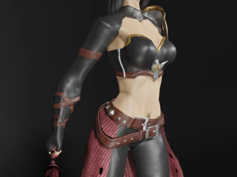 Ninja Assassin Female Character - Fantasy 3D Model