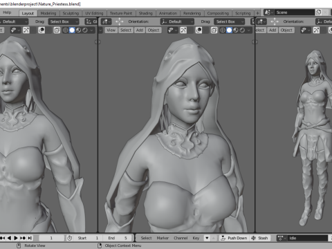Nature Priestess Female Character - Fantasy 3D Model