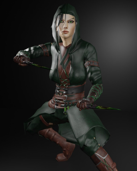Poisoner Assassin Female Character - Fantasy 3D Модель .c4d .max .obj .3ds .fbx .stl .blend 