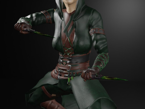 Poisoner Assassin Female Character - Fantasy 3D 模型