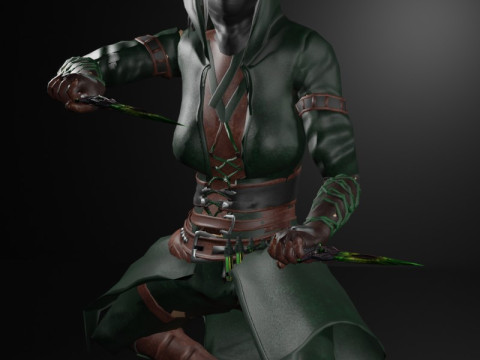 Poisoner Assassin Female Character - Fantasy 3D Модель